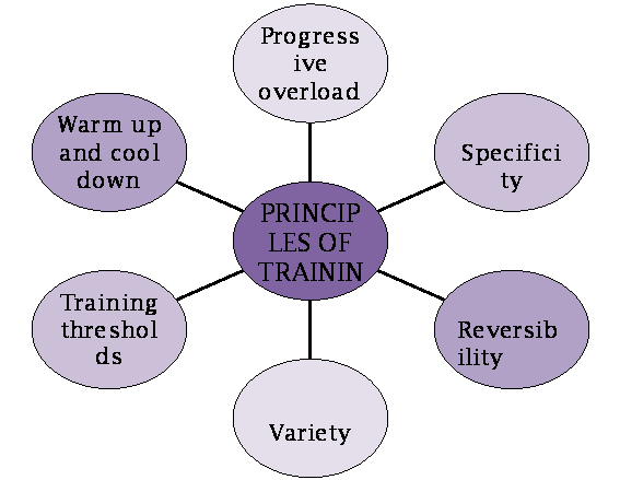 Principles of training